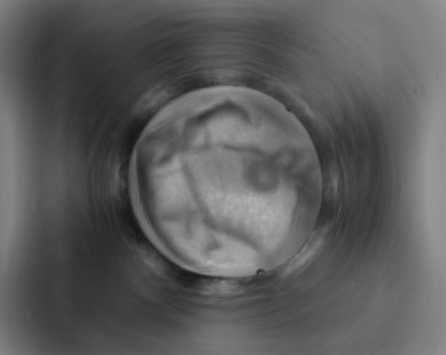 X0000086940140200705141809