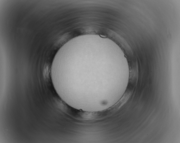X0000086940142200705141809
