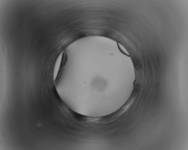 X0000086940143200705141809