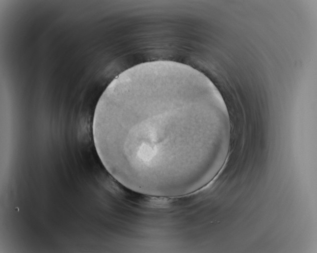 X0000086940144200705141809