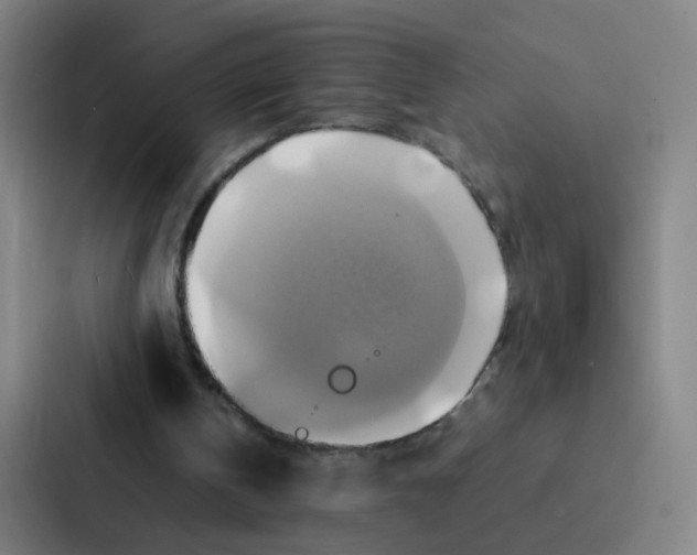 X0000086940146200705141809