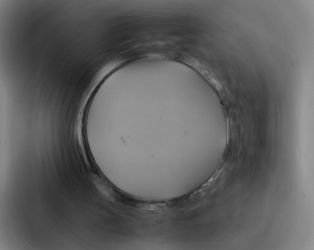 X0000086940147200705141809