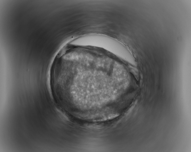 X0000086940148200705141809