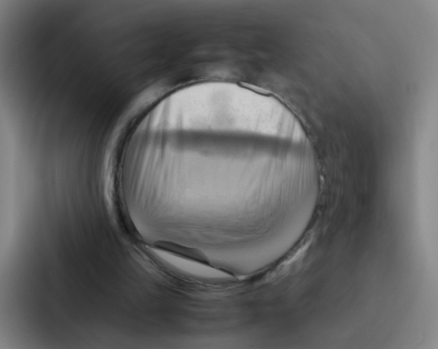 X0000086940149200705141809