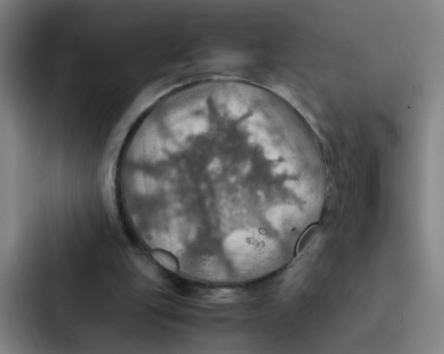 X0000086940151200705141809