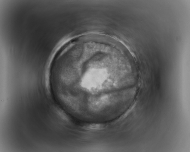 X0000086940152200705141809