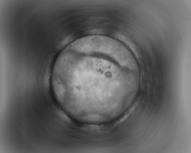 X0000086940153200705141809