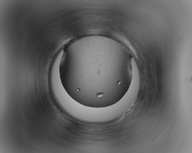 X0000086940154200705141809