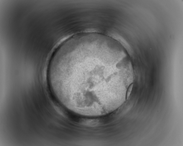 X0000086940155200705141809