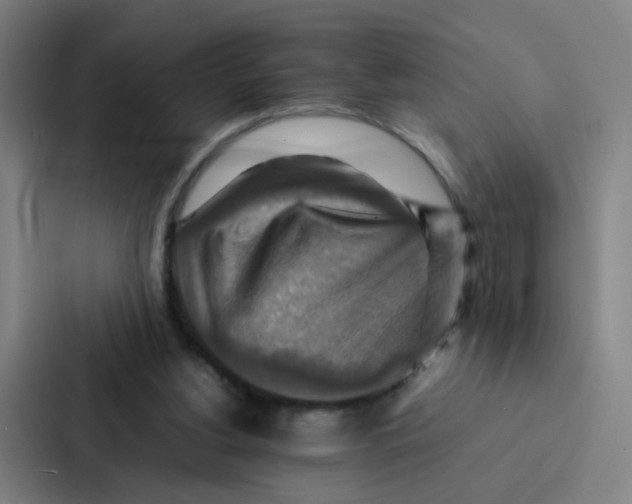 X0000086940156200705141809