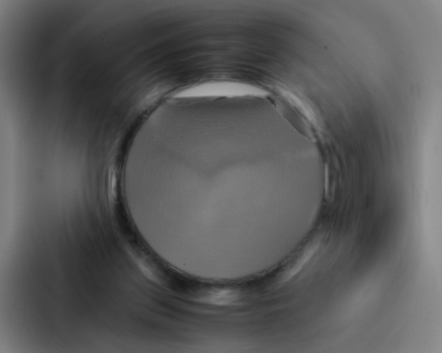 X0000086940157200705141809