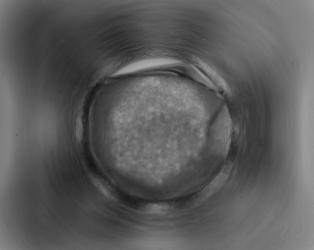 X0000086940158200705141809