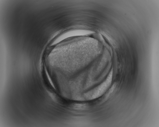 X0000086940160200705141809