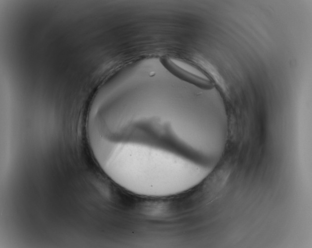 X0000086940161200705141809
