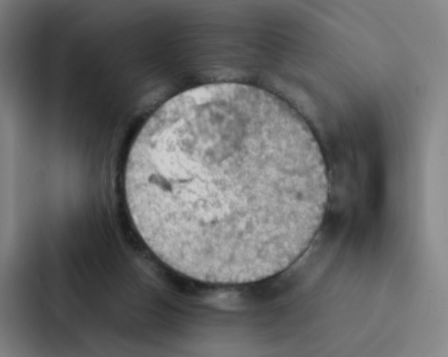 X0000086940162200705141809