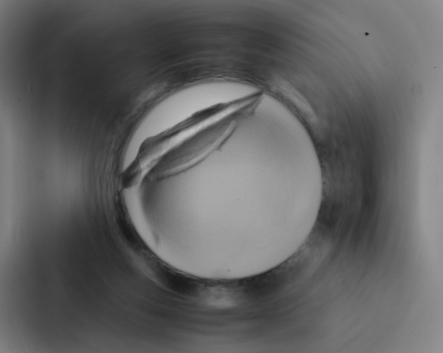 X0000086940163200705141809