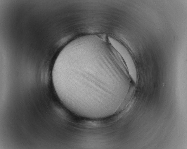 X0000086940164200705141809