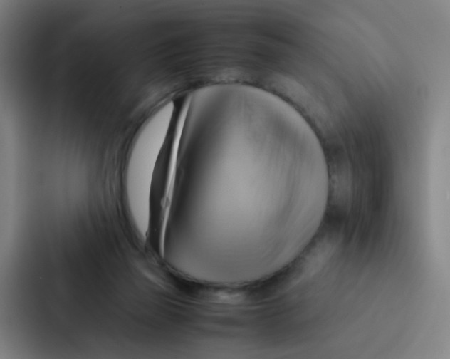 X0000086940165200705141809
