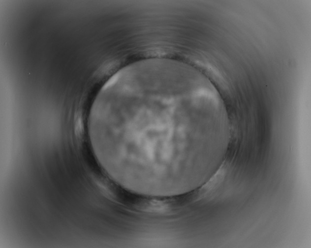 X0000086940166200705141809