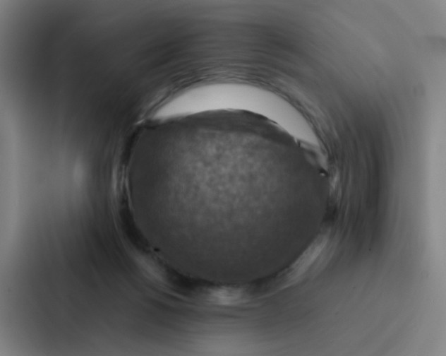 X0000086940168200705141809