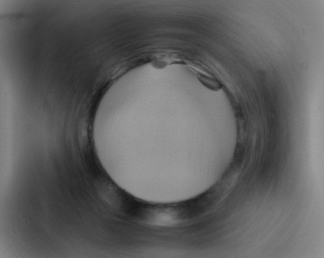 X0000086940169200705141809