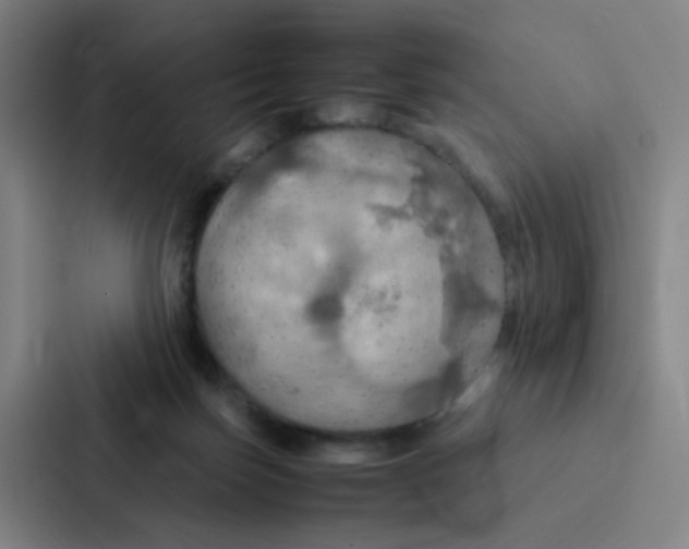 X0000086940171200705141809