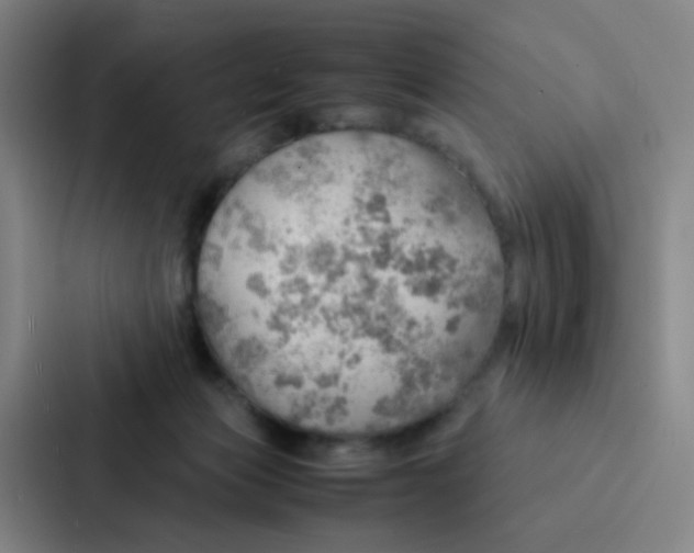 X0000086940173200705141809