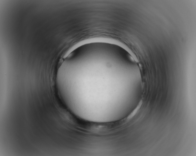 X0000086940174200705141809