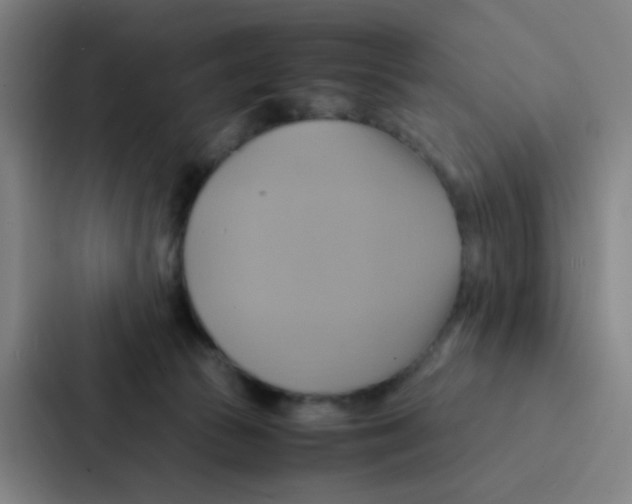 X0000086940177200705141809
