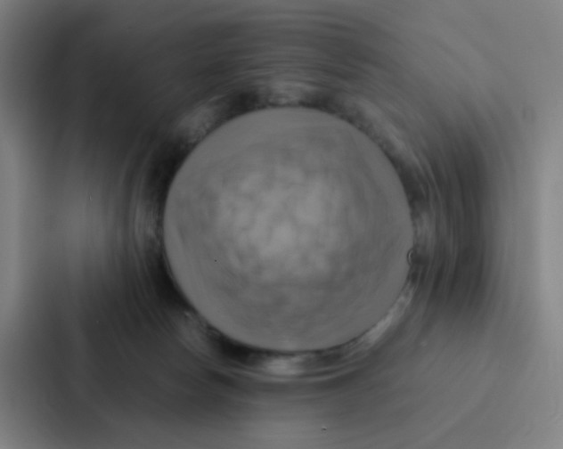 X0000086940178200705141809