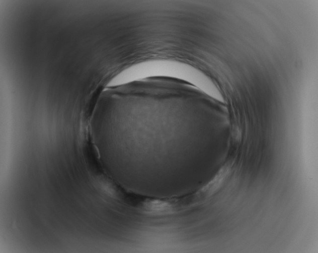 X0000086940180200705141809