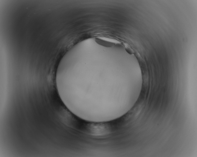 X0000086940181200705141809