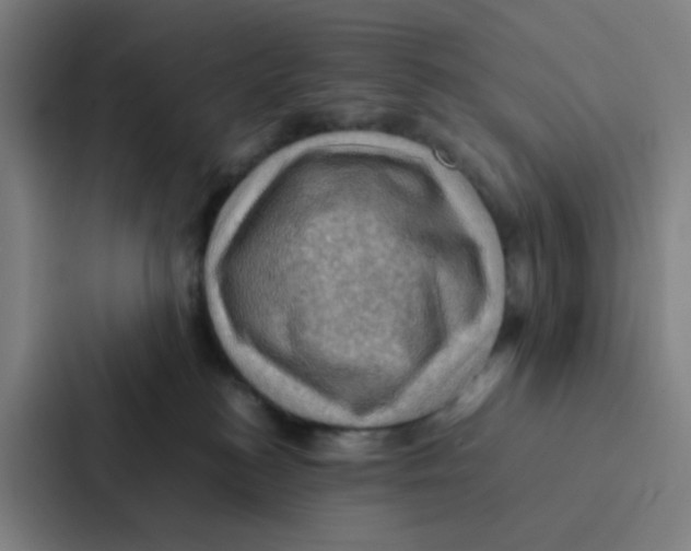 X0000086940184200705141809