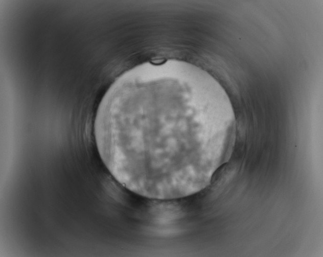 X0000086940185200705141809