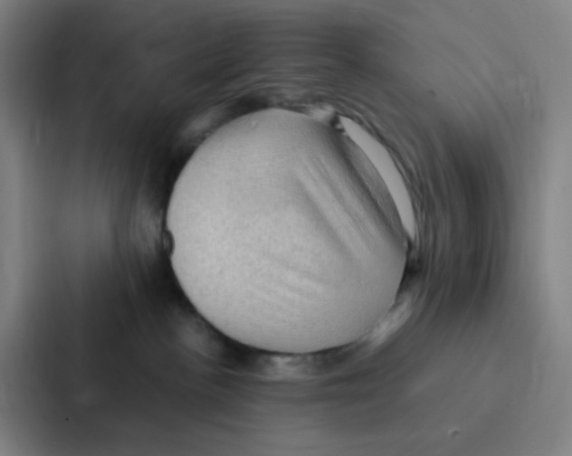X0000086940188200705141809