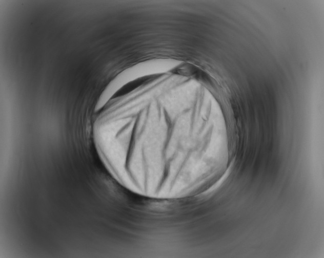 X0000086940190200705141809