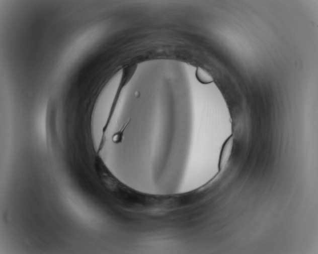 X0000086940191200705141809