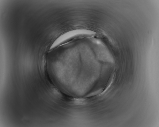 X0000086940192200705141809