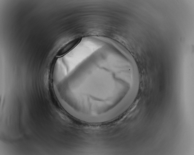X0000086940194200705141809