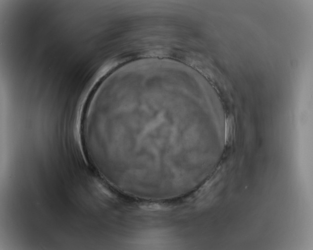X0000086940195200705141809