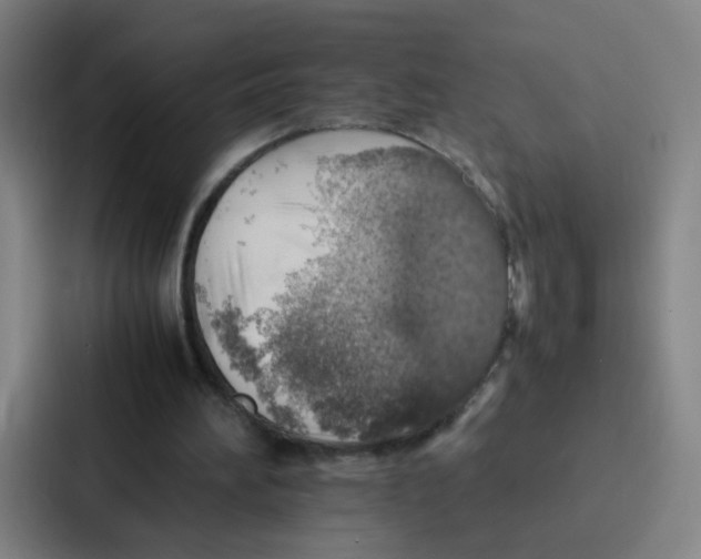 X0000086940196200705141809