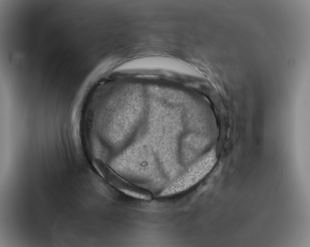 X0000086940197200705141809