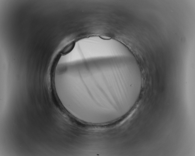 X0000086940198200705141809