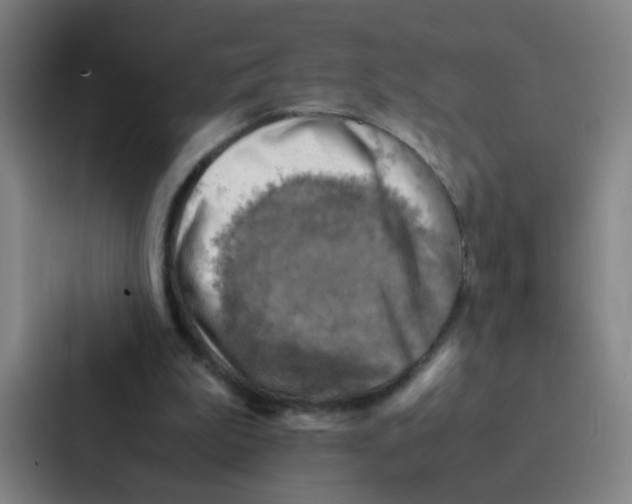 X0000086940199200705141809