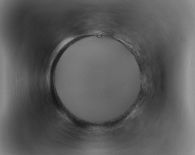 X0000086940200200705141809