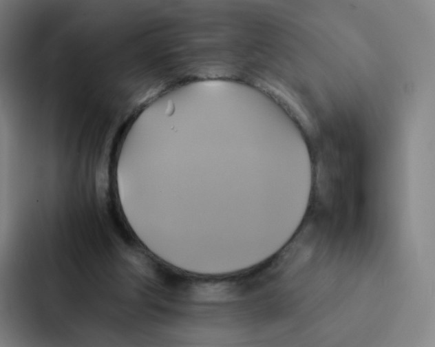 X0000086940202200705141809