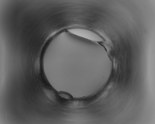 X0000086940204200705141809