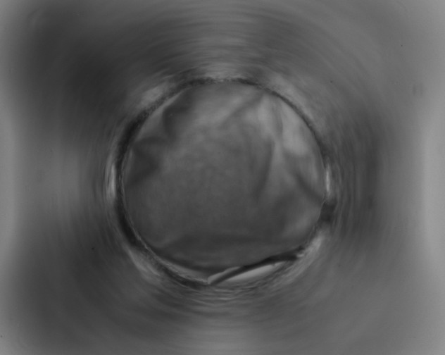X0000086940205200705141809