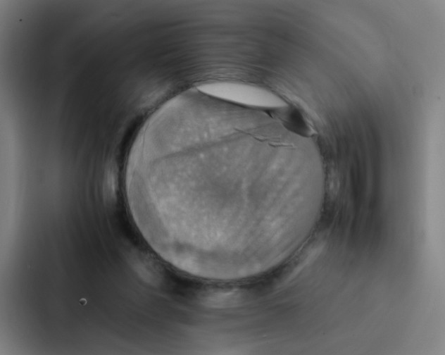 X0000086940206200705141809