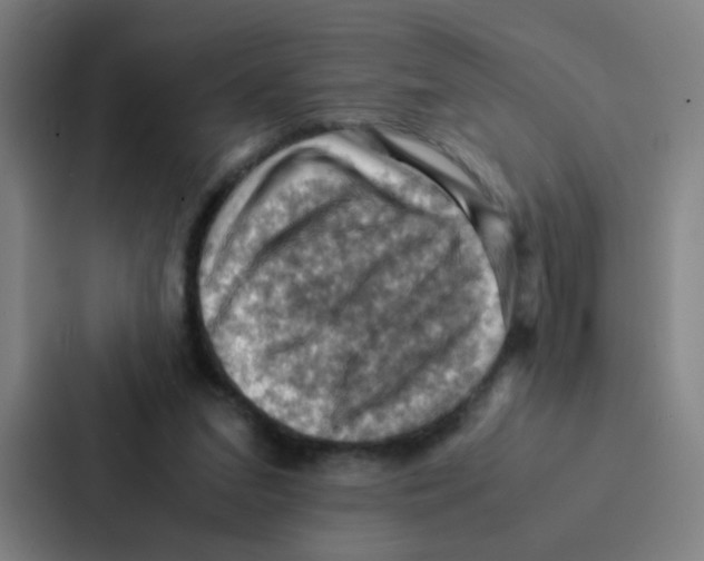 X0000086940207200705141809